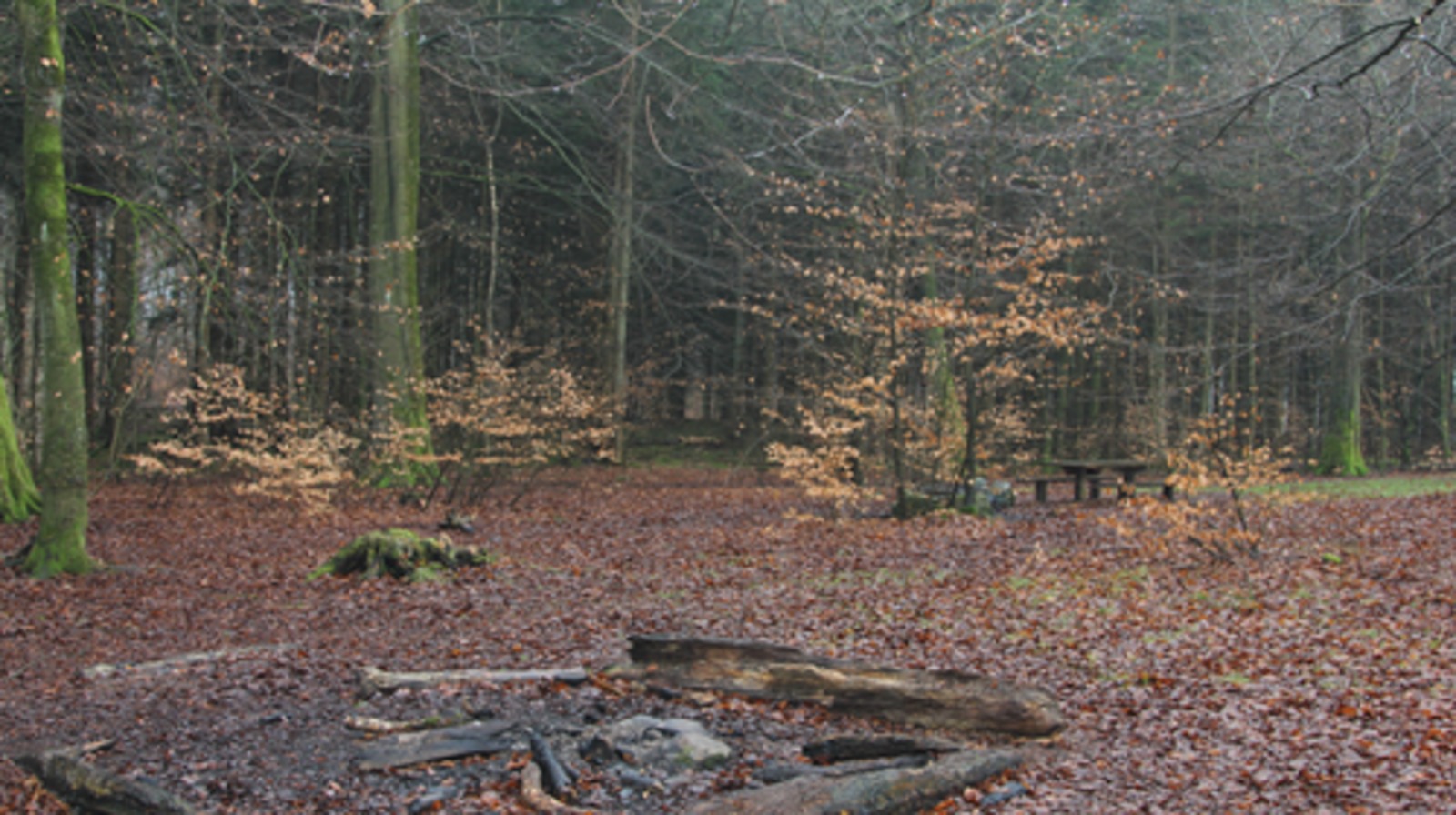 Bålplads og borde/bænke 