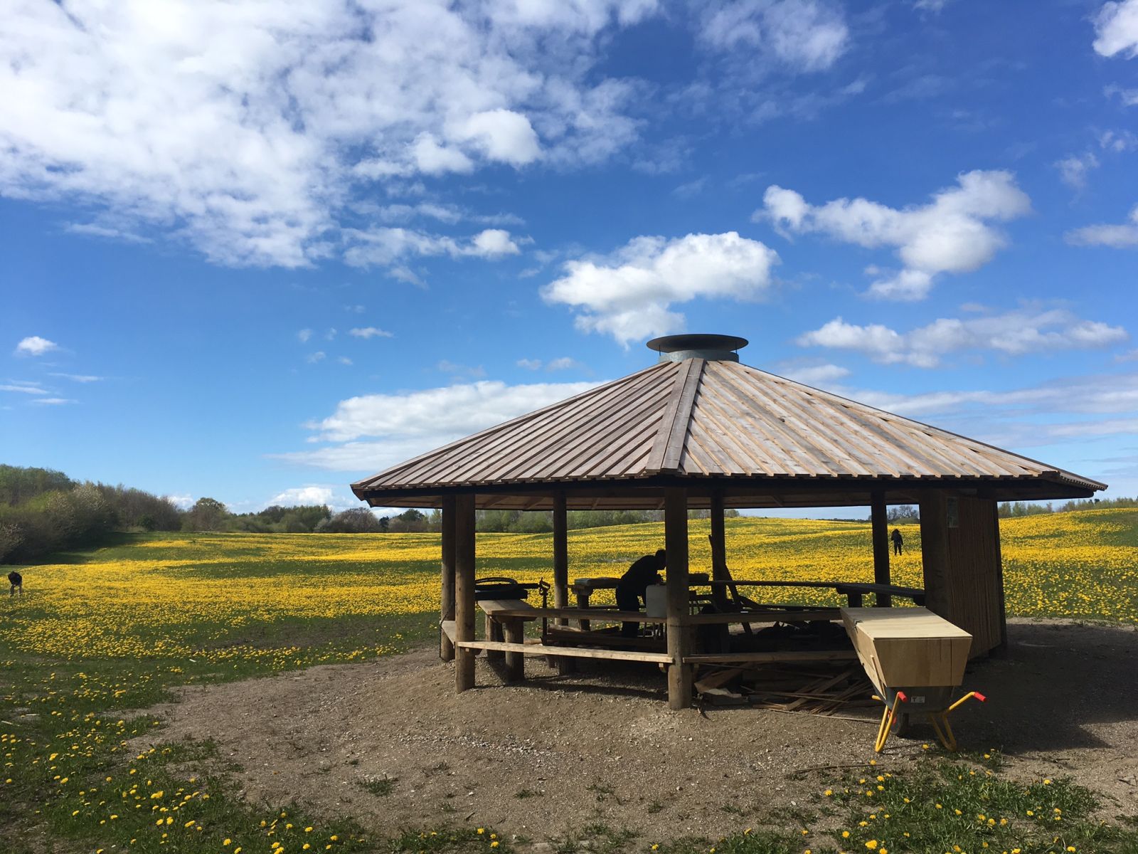 Shelter, Dagløkke Skov – miniature 4
