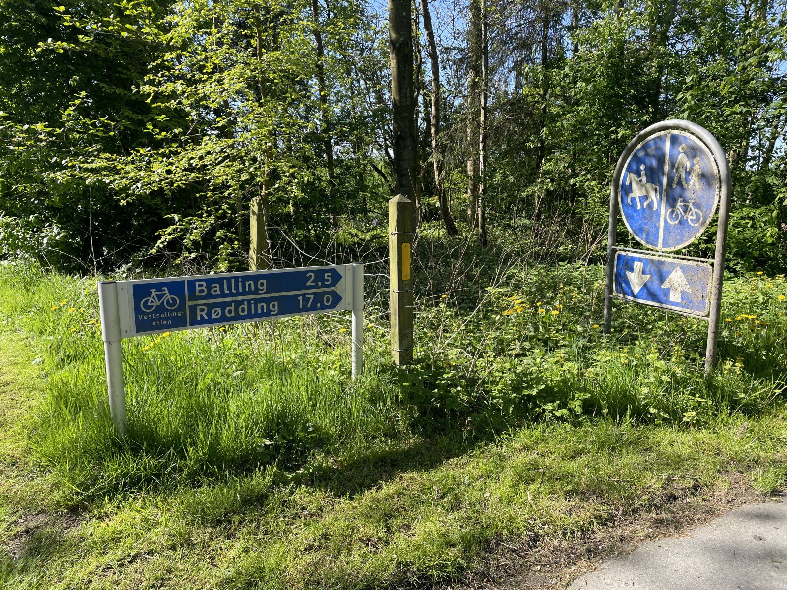 Vestsallingstien