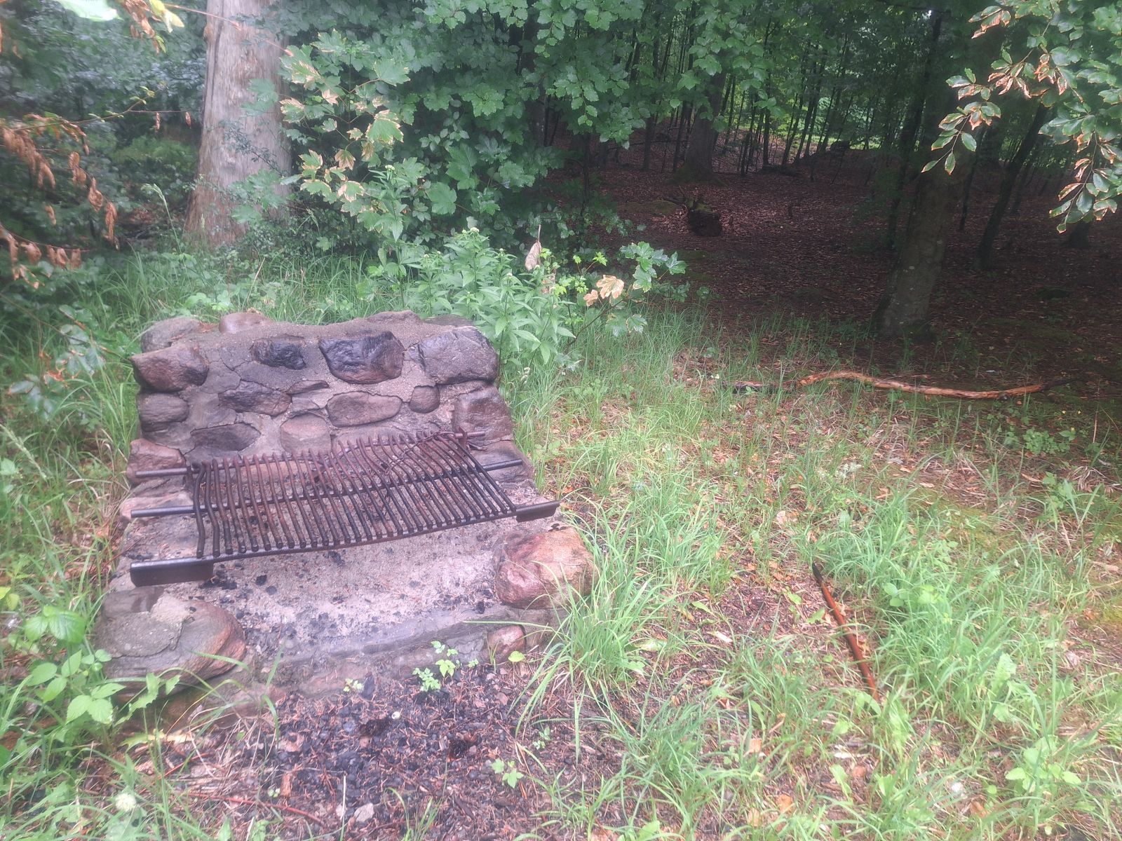 Billedet viser et bålsted. Bålstedet er i midten af en lille stenkonstruktion med en ca. 40 cm høj bagside. Højre og venstre side er lidt over jordniveau og henover dem ligger en grillrist, der kan vippes op mod bagsiden, så der er let adgang til bålet. Underlaget omkring bålstedet er græs. Bag bålstedet begynder skoven og der er et kig ind mellem stammerne.