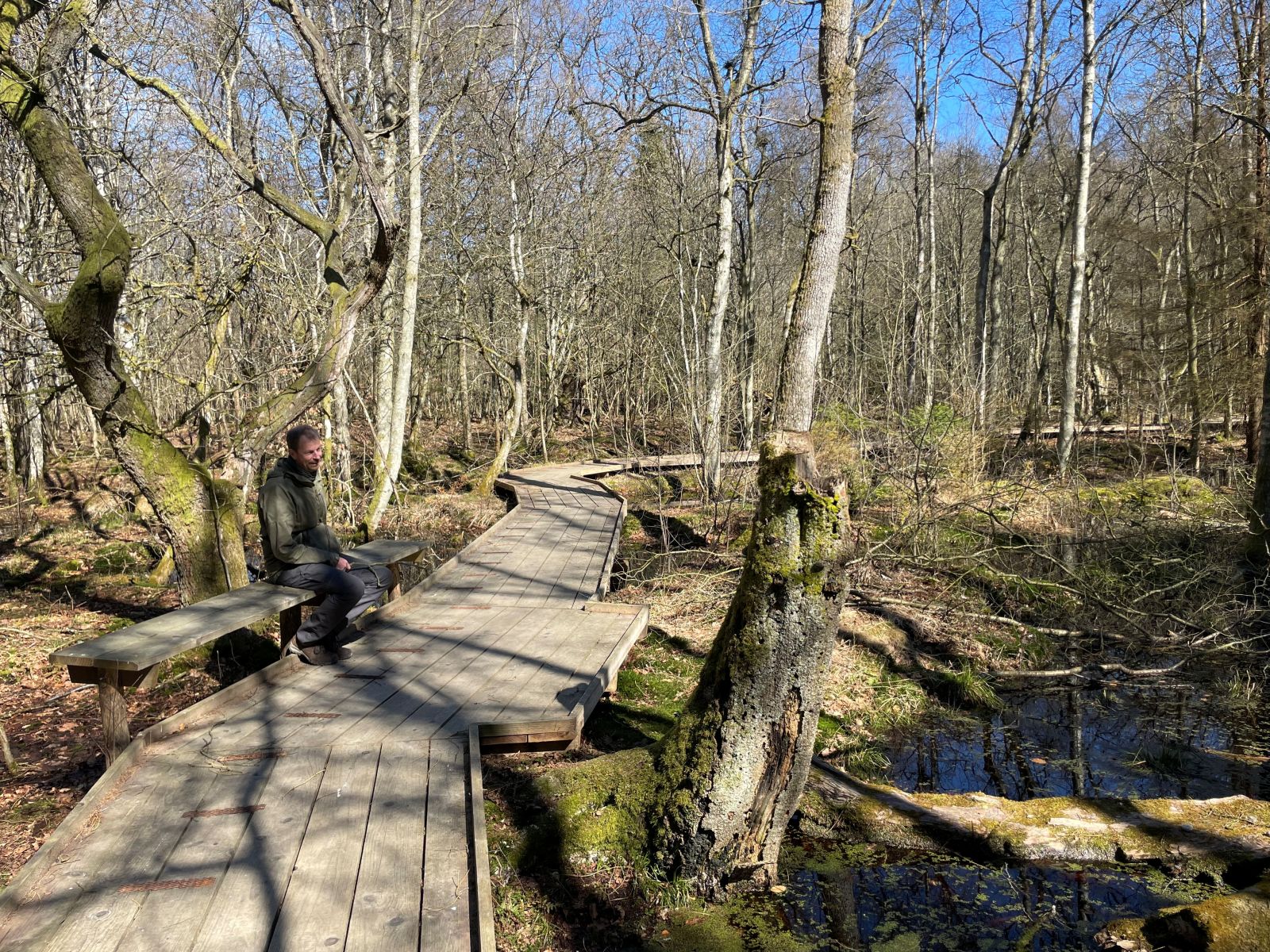 En integreret bænk halvvejs på gangbroen med udsigt over moseområdet