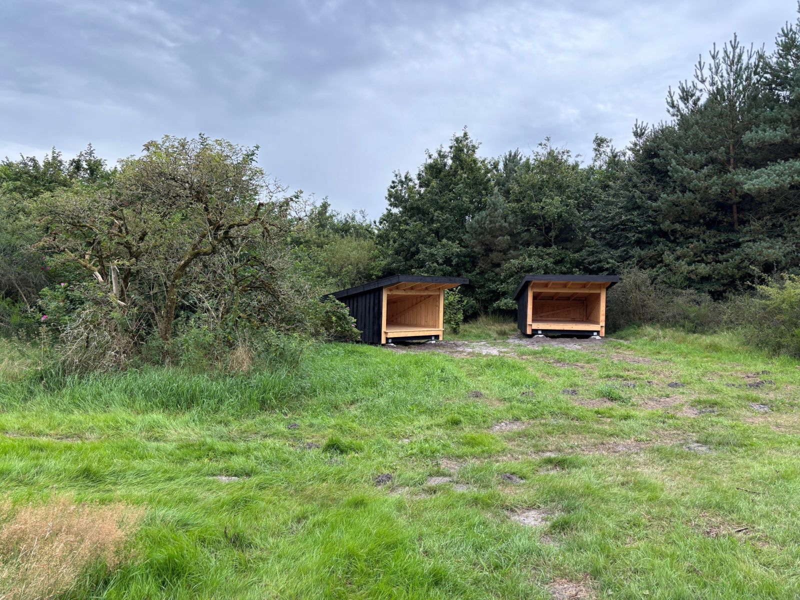 Shelter
