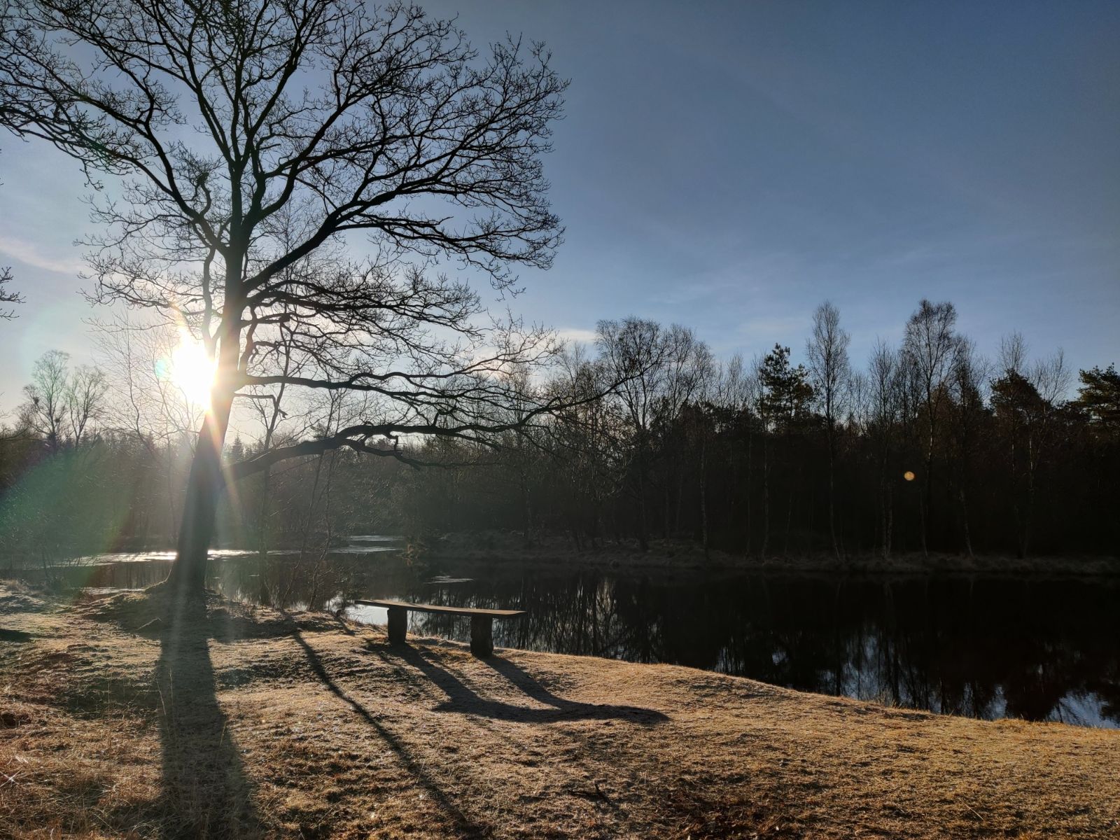 bænk ved Hønning dam