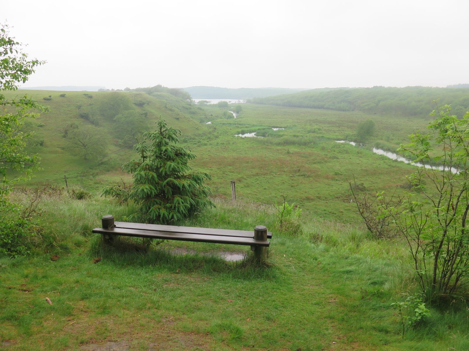 Bænk ved Ådalstien