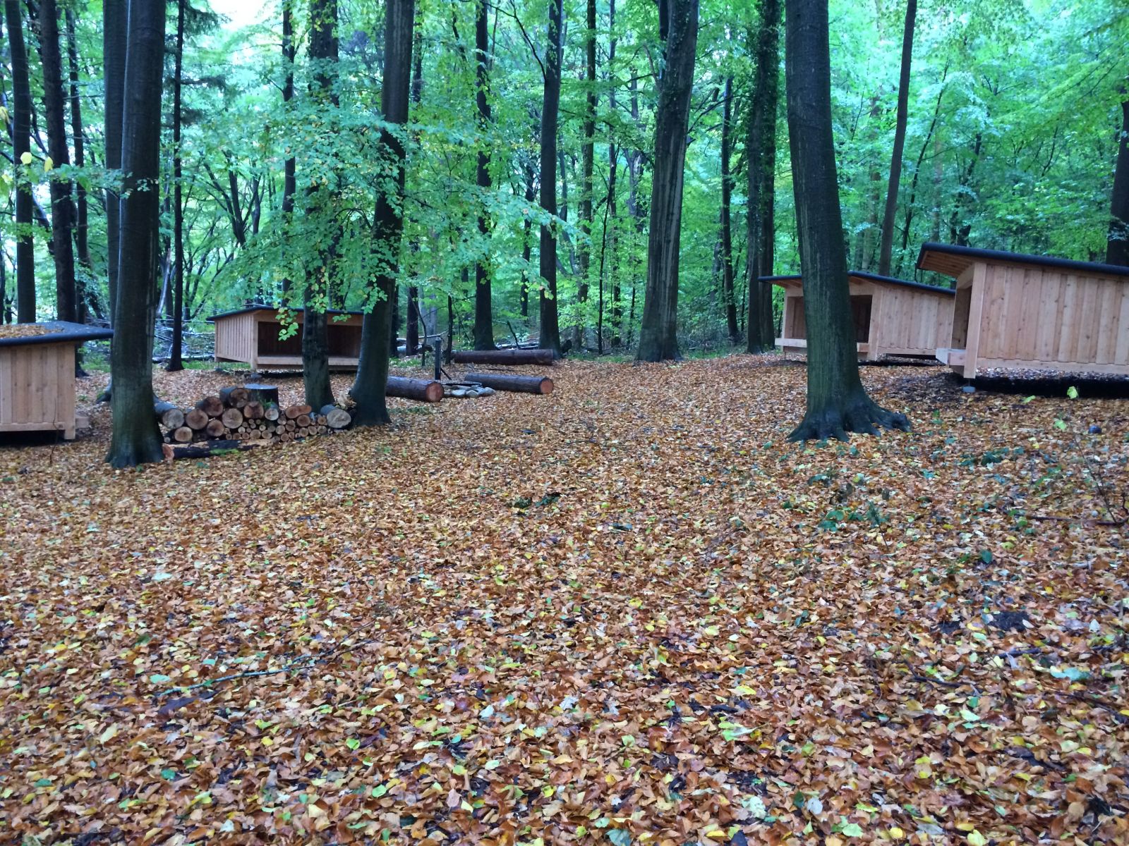 Shelter 1  – miniature 2