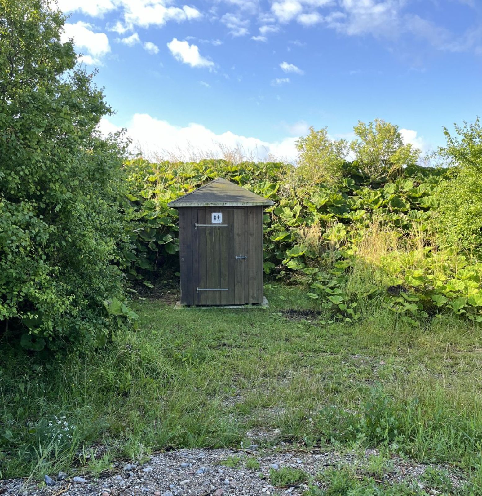 Multtoilet