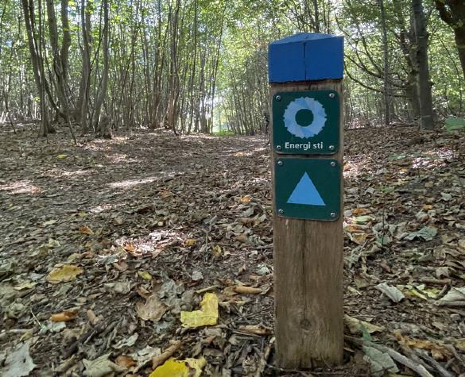 Sædding blå energisti