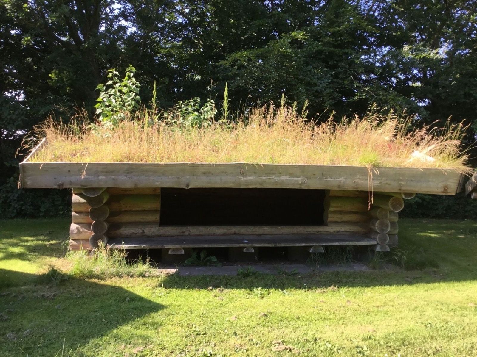 Shelter