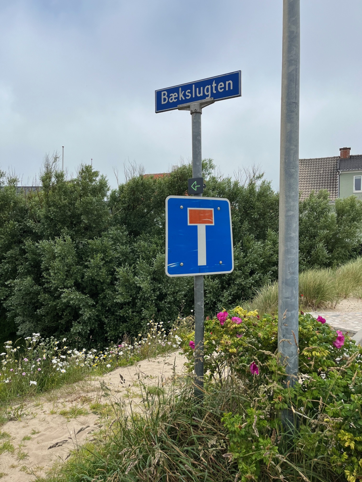 Når man kommer fra starten af ruten og har krydset vejen, vil man nå Bækslugten. 