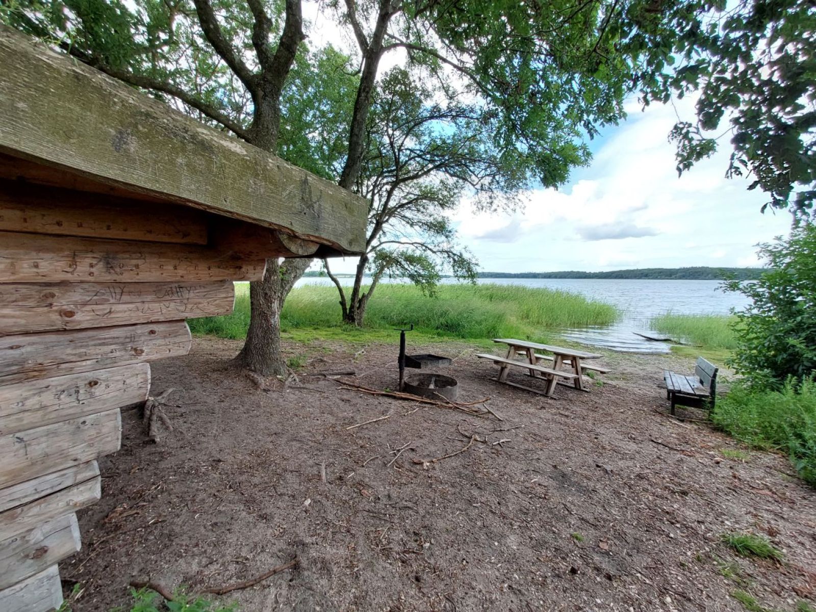 Skjoldunge shelteret, Boserup skov – miniature 3