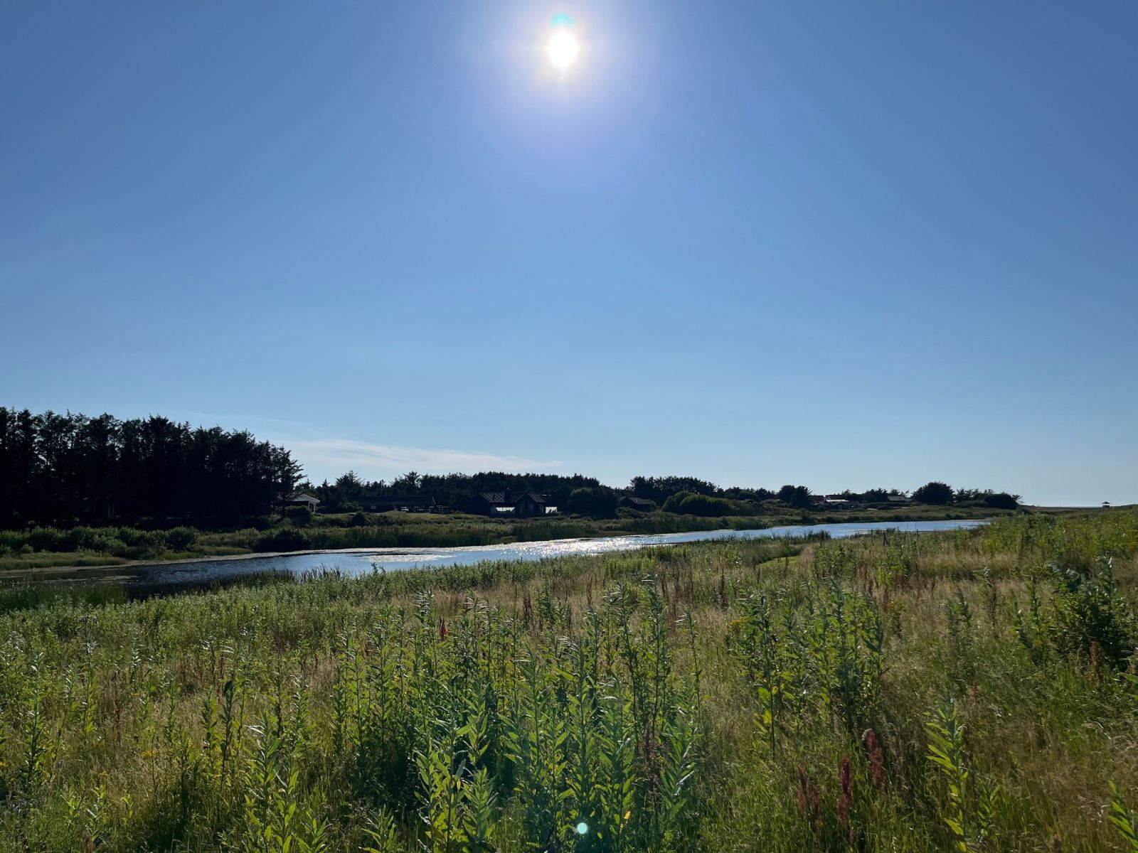 Udsigt til Nr. Lyngbysøerne. 