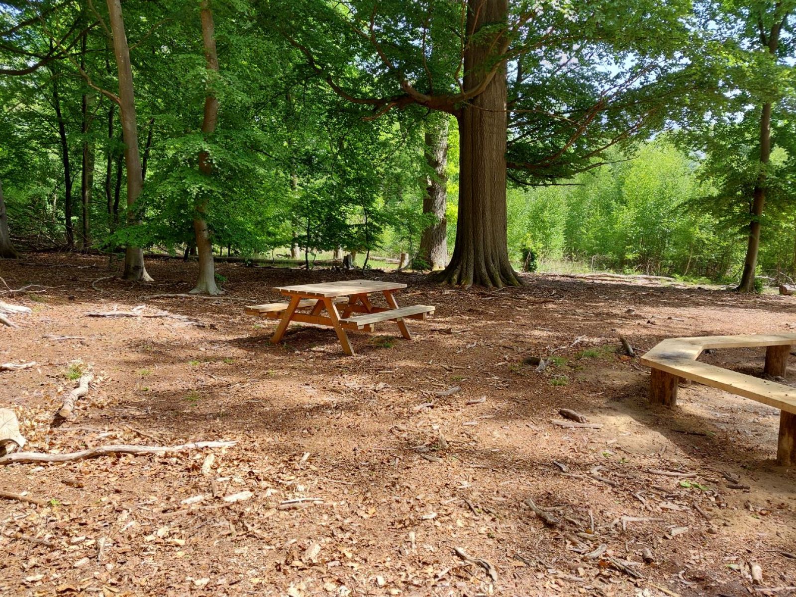 Jægersborg Hegn, Shelter "Den Hemmelige" – miniature 6