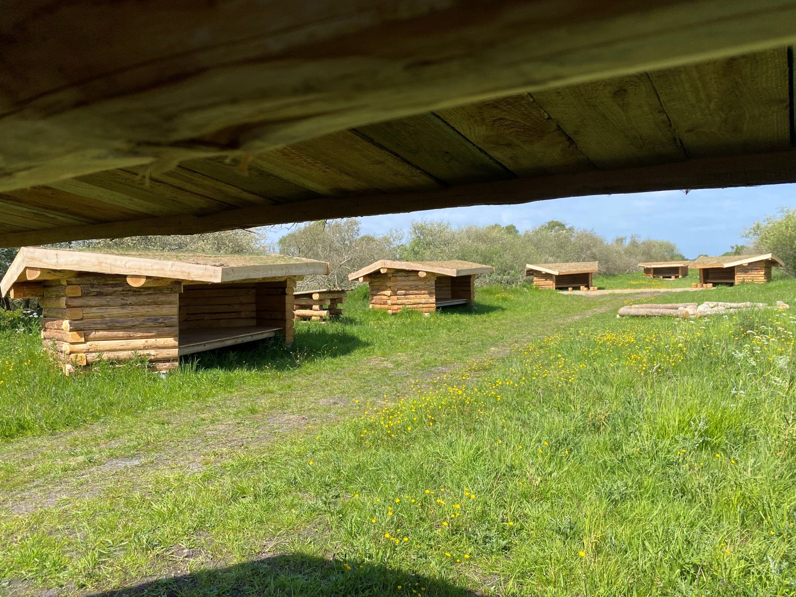 Udsigt fra det ene shelter henover bålplads og de 5 andre shelters