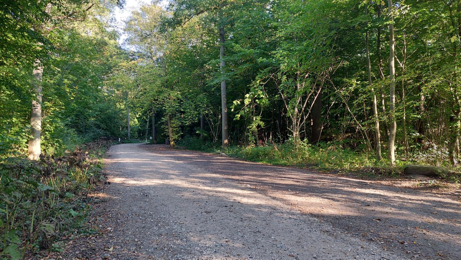 Parkeringsplads med grusbelægning i skoven ved Terslevvej