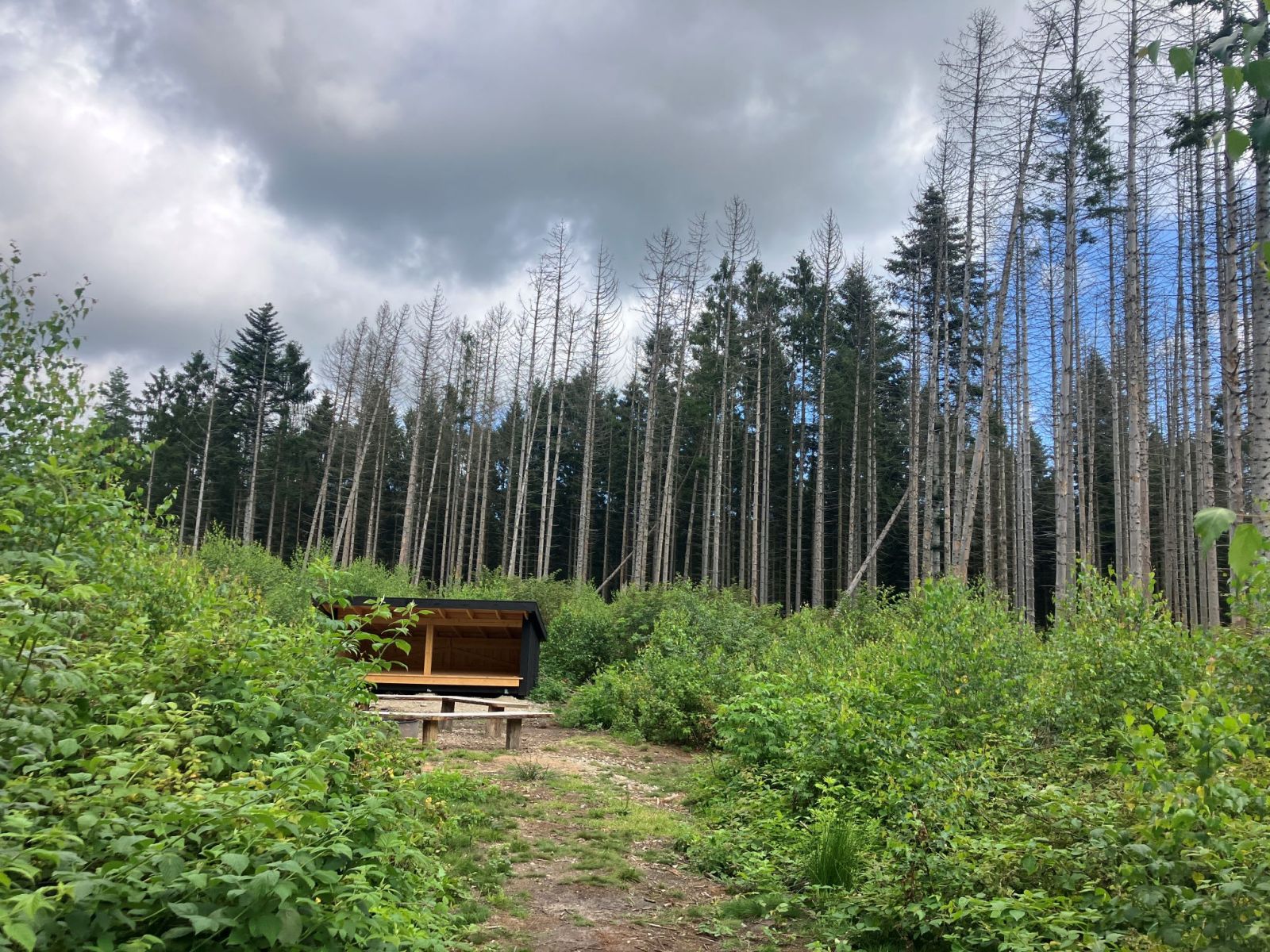 Shelter