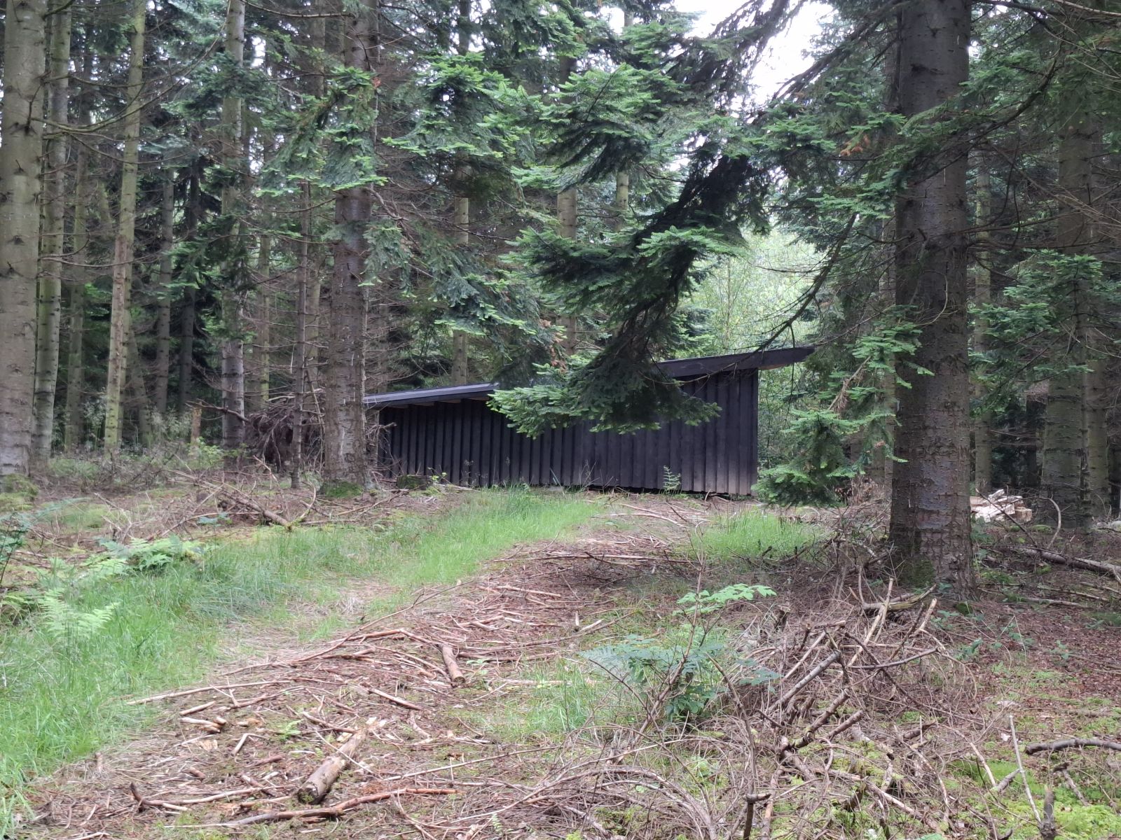 Fovslet Skov Shelter 2 – miniature 2