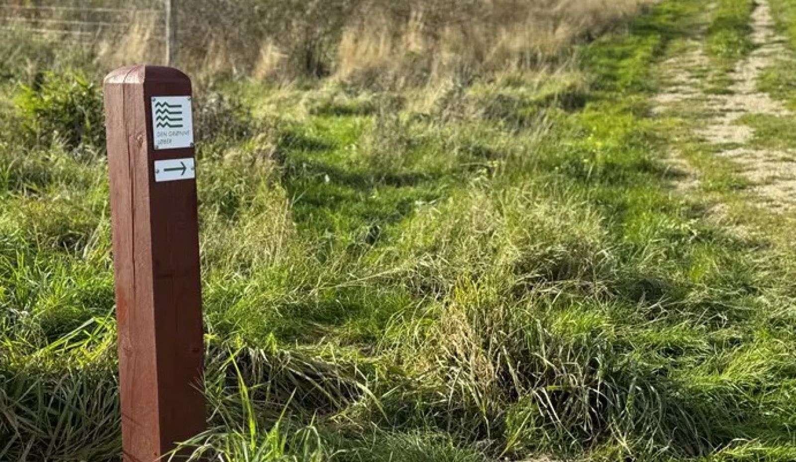 Billede af Markering langs Den Grønne Løber 
