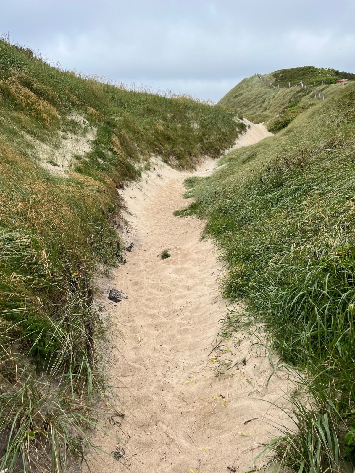 Gennem bækslugten vil underlaget blive sand, hvor man kan forvente, at det primært er meget løst at gå i.  