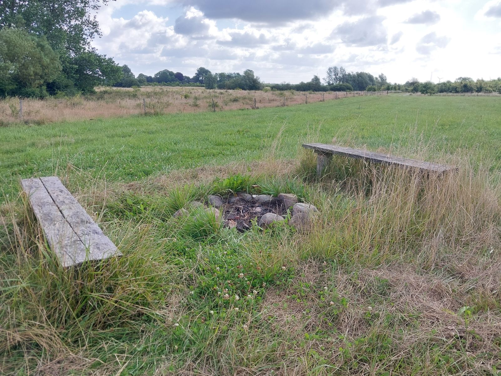 Shelterplads i Tune Skov – miniature 3