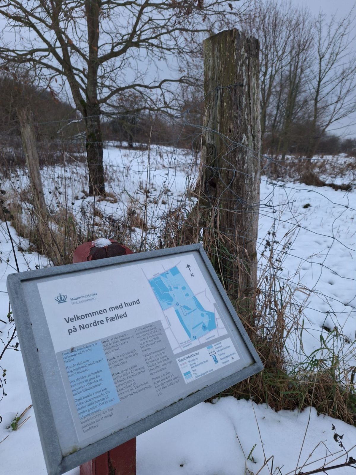 Informationstavle vedrørende færdsel med hund på Nordre Fælled.