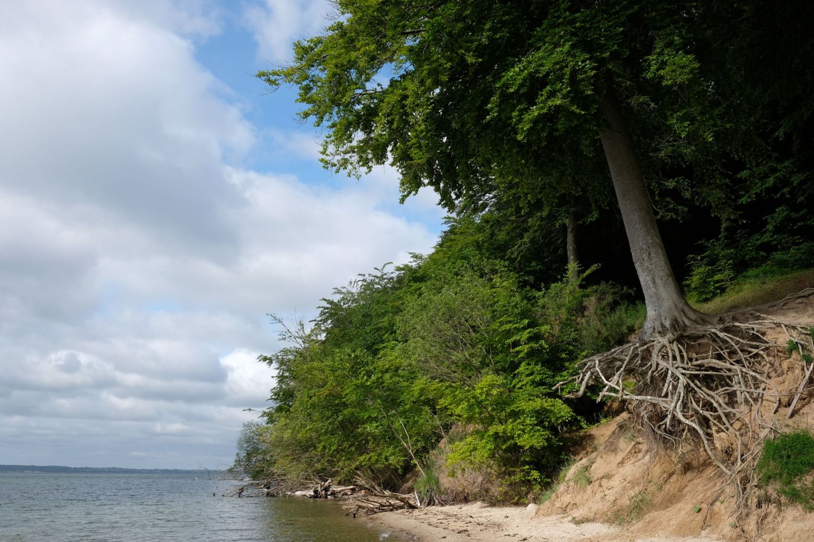 Staksrode Skov, shelter in Denmark