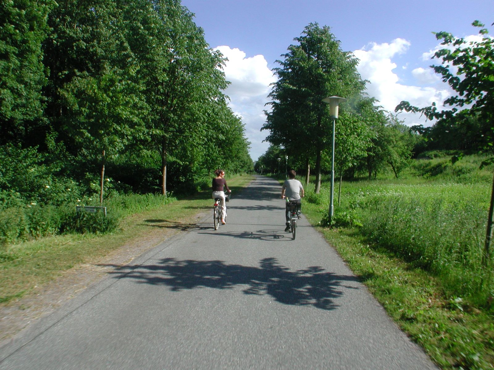 Asfaltsti lang Vestvolden