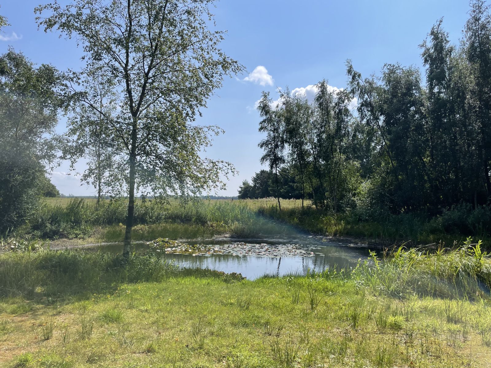 Udsigt til sø
