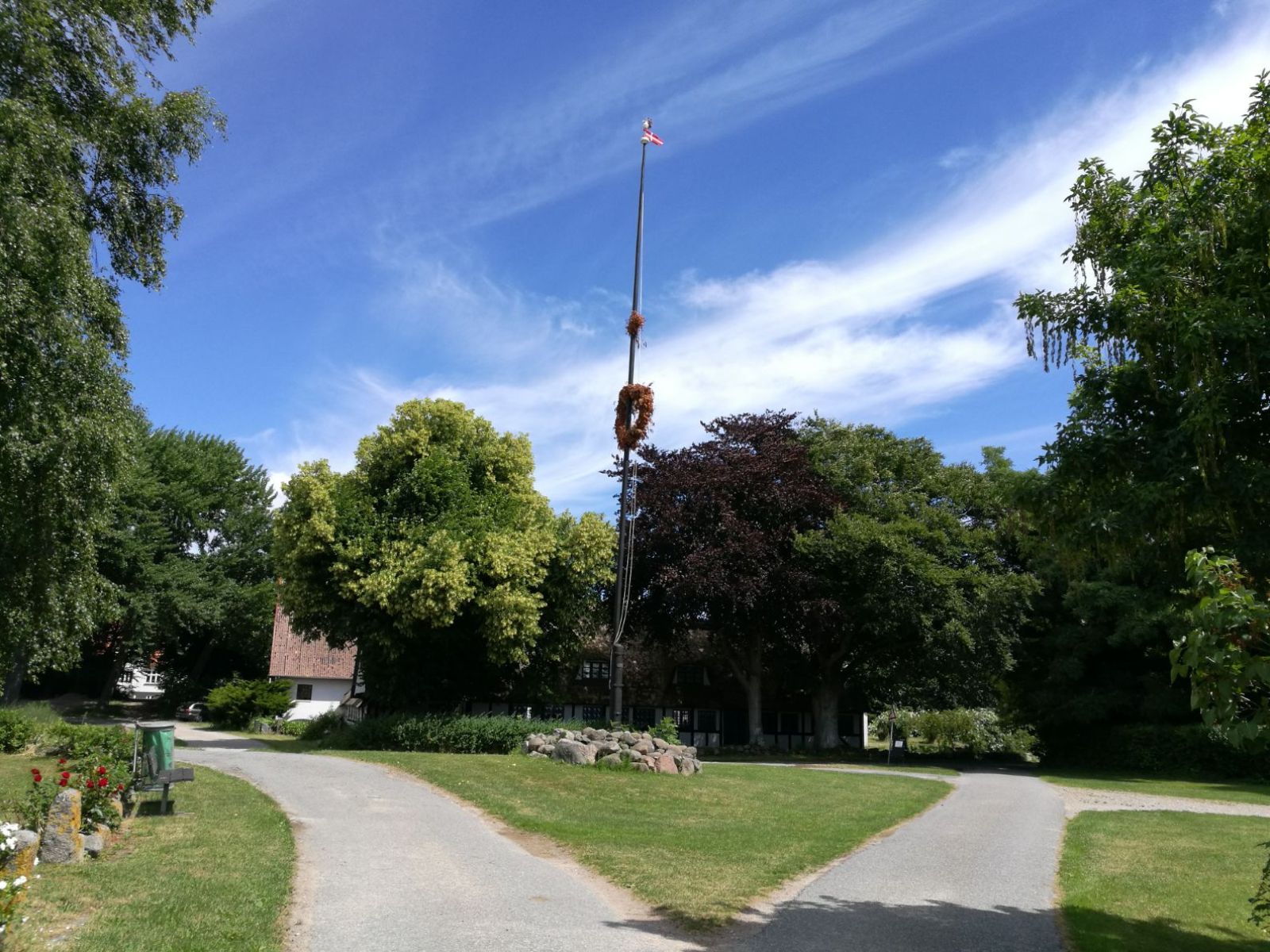 Majtræet