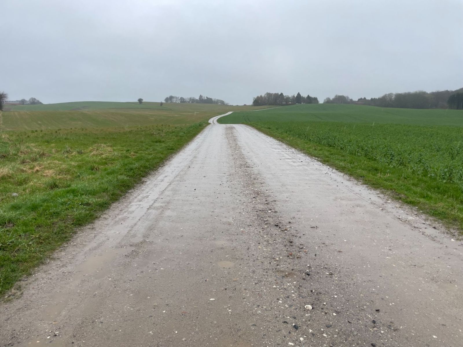 Sporet om Jeksen Bæk og Bjertrupskov