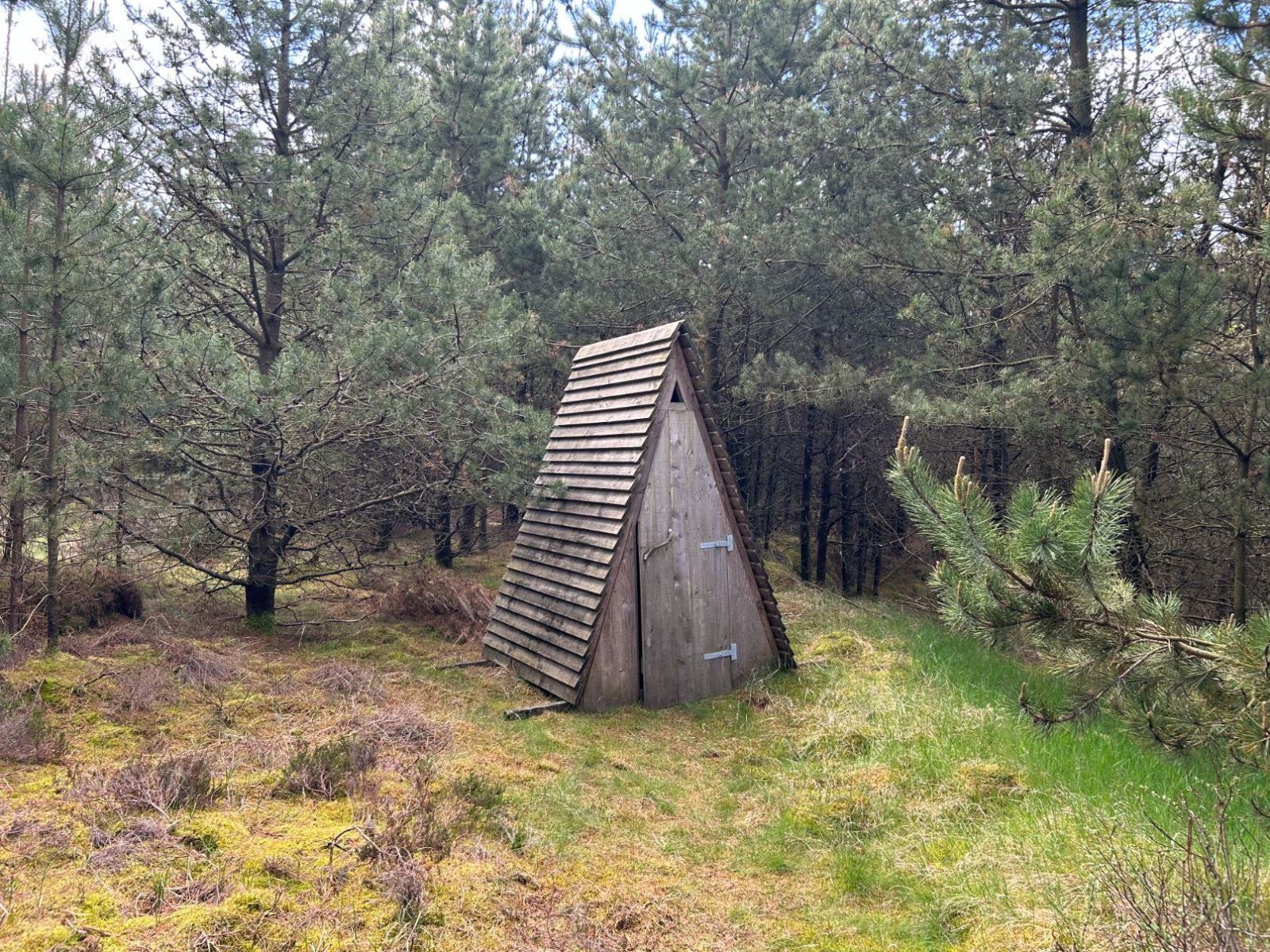 Den gamle grusgrav, Nørlund Plantage - shelter 1 – miniature 4