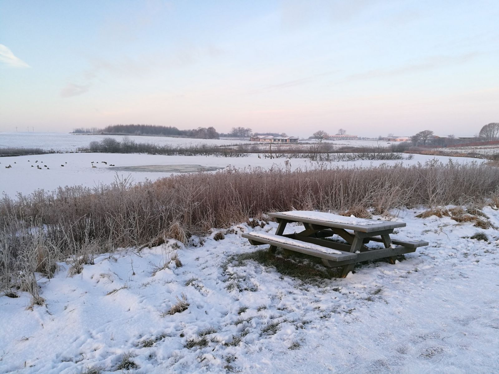 Et snedækket bord ved Ringe Sø