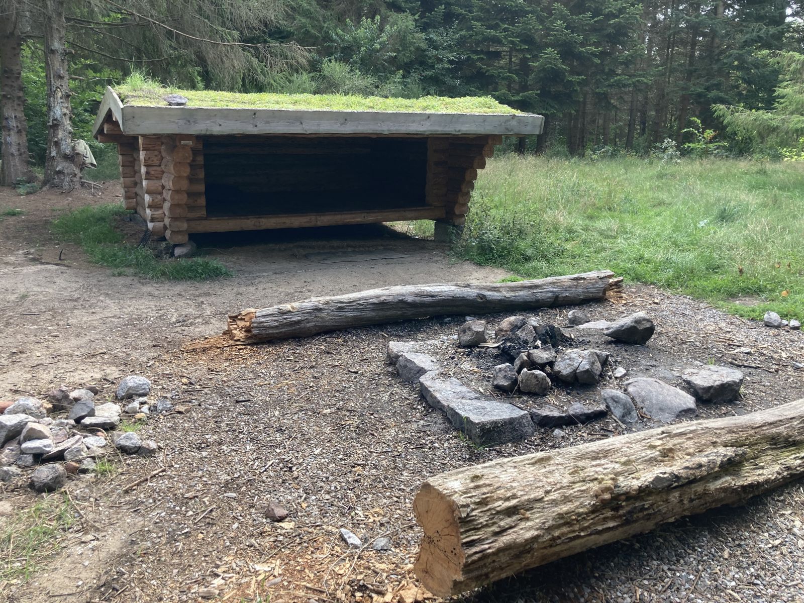 Vollerup Skov – miniature 2
