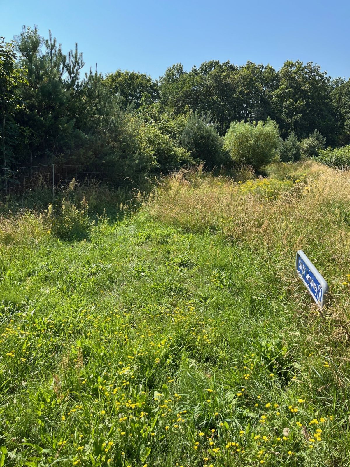 Skiltning af rute. Sti er til venstre. 