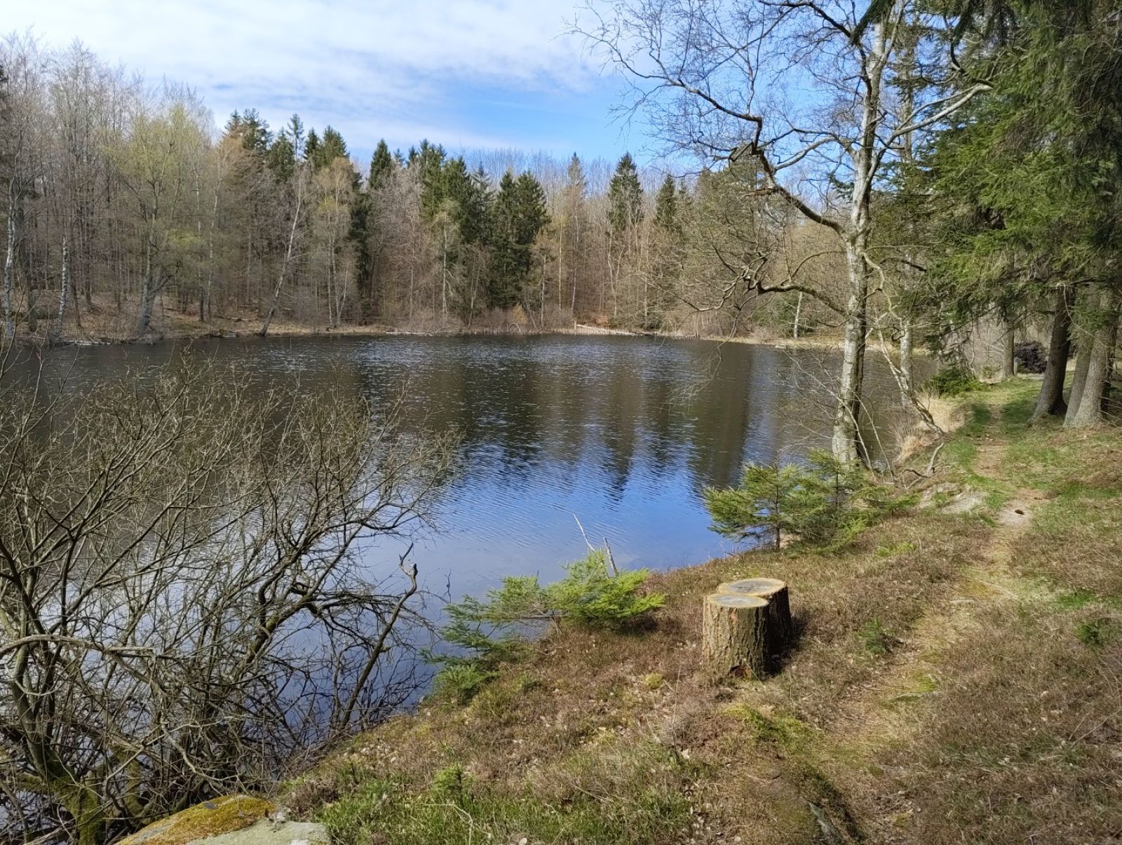 Sti langs skovsø.