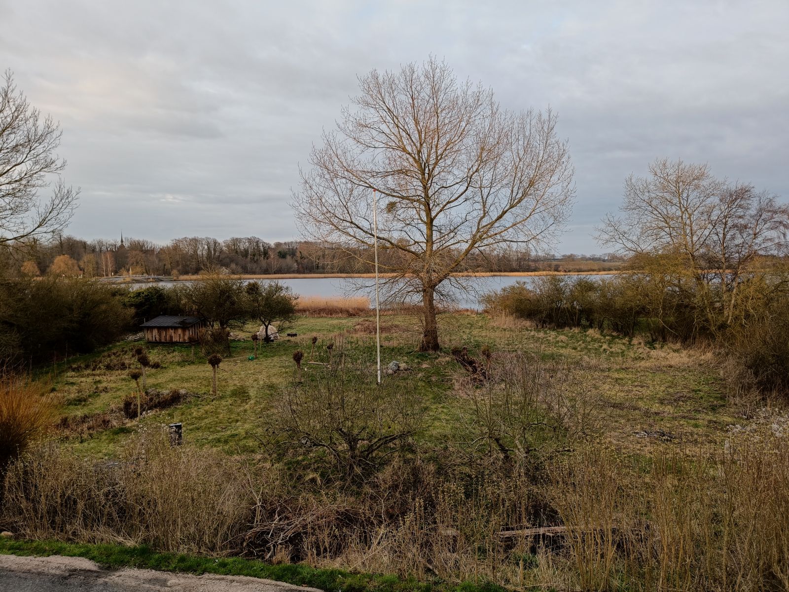 Dyrehavehuse Naturcampingplads                     – miniature 3