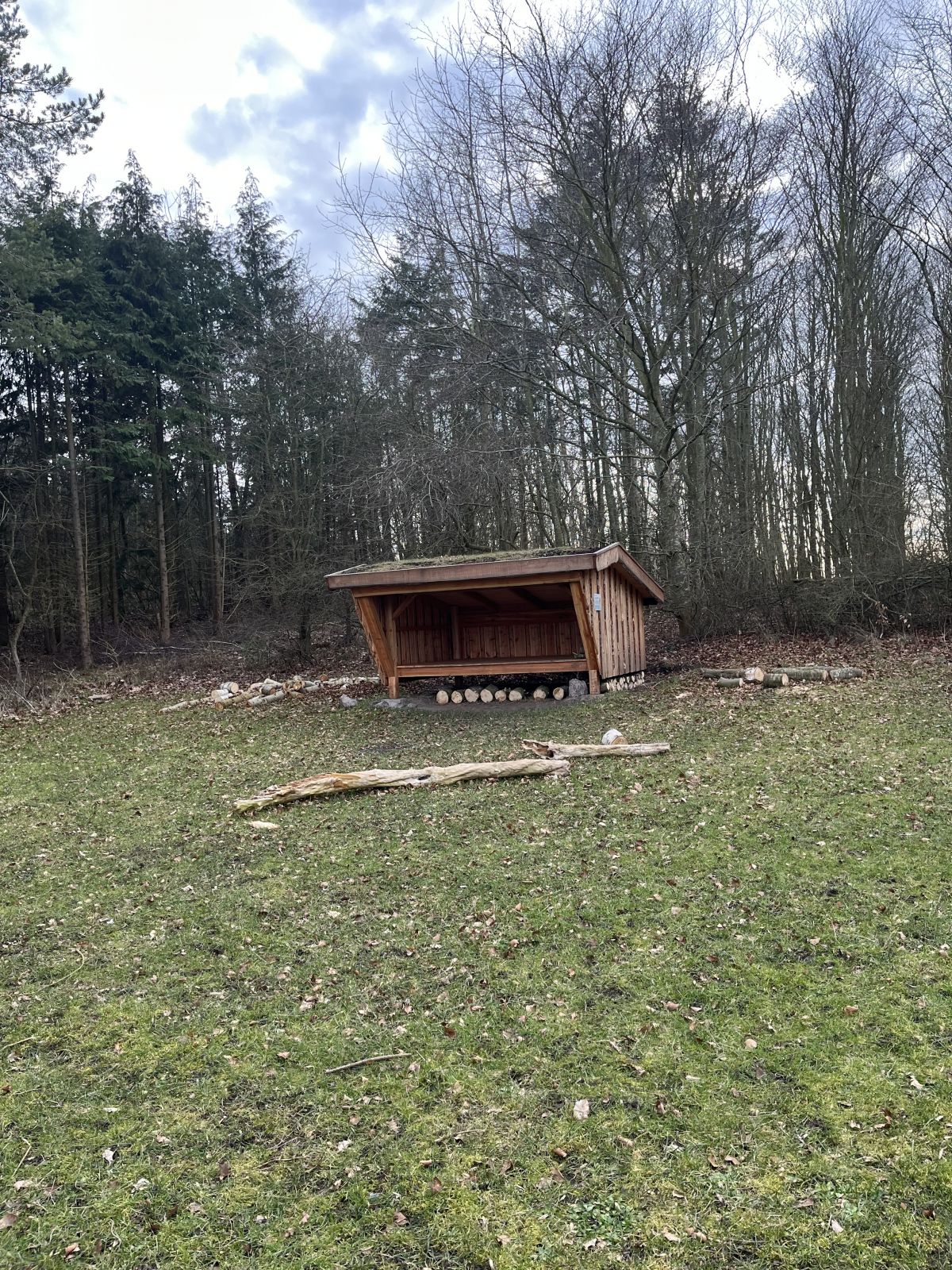 Lille Rise skoven – miniature 2