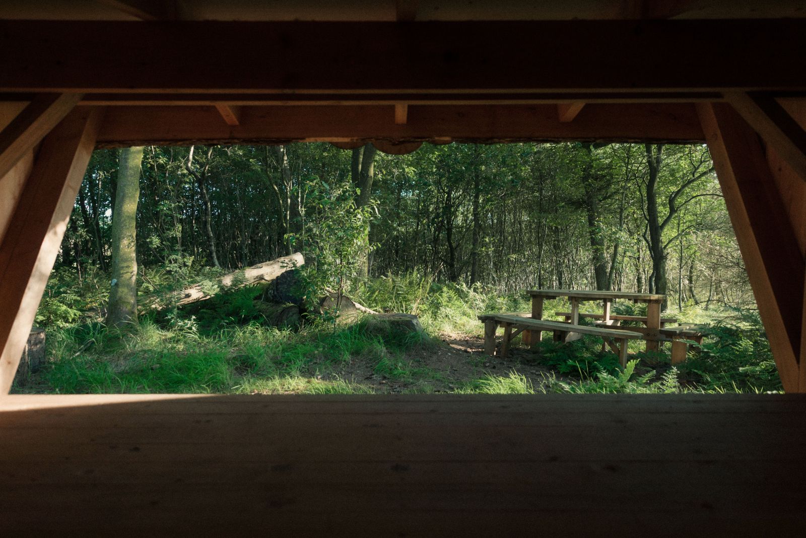 Klink Gård - Arla ØKO Shelter – miniature 3