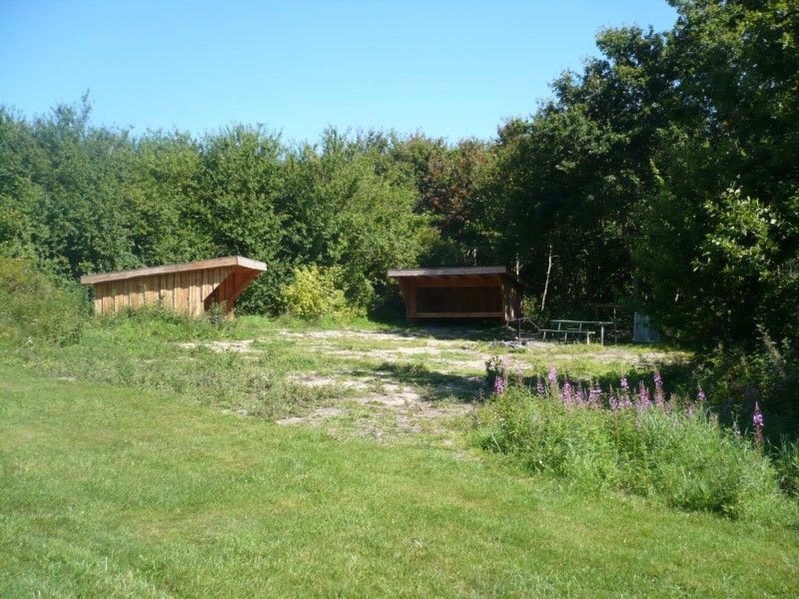 Naturbasen Louns, Shelterplads – miniature 2