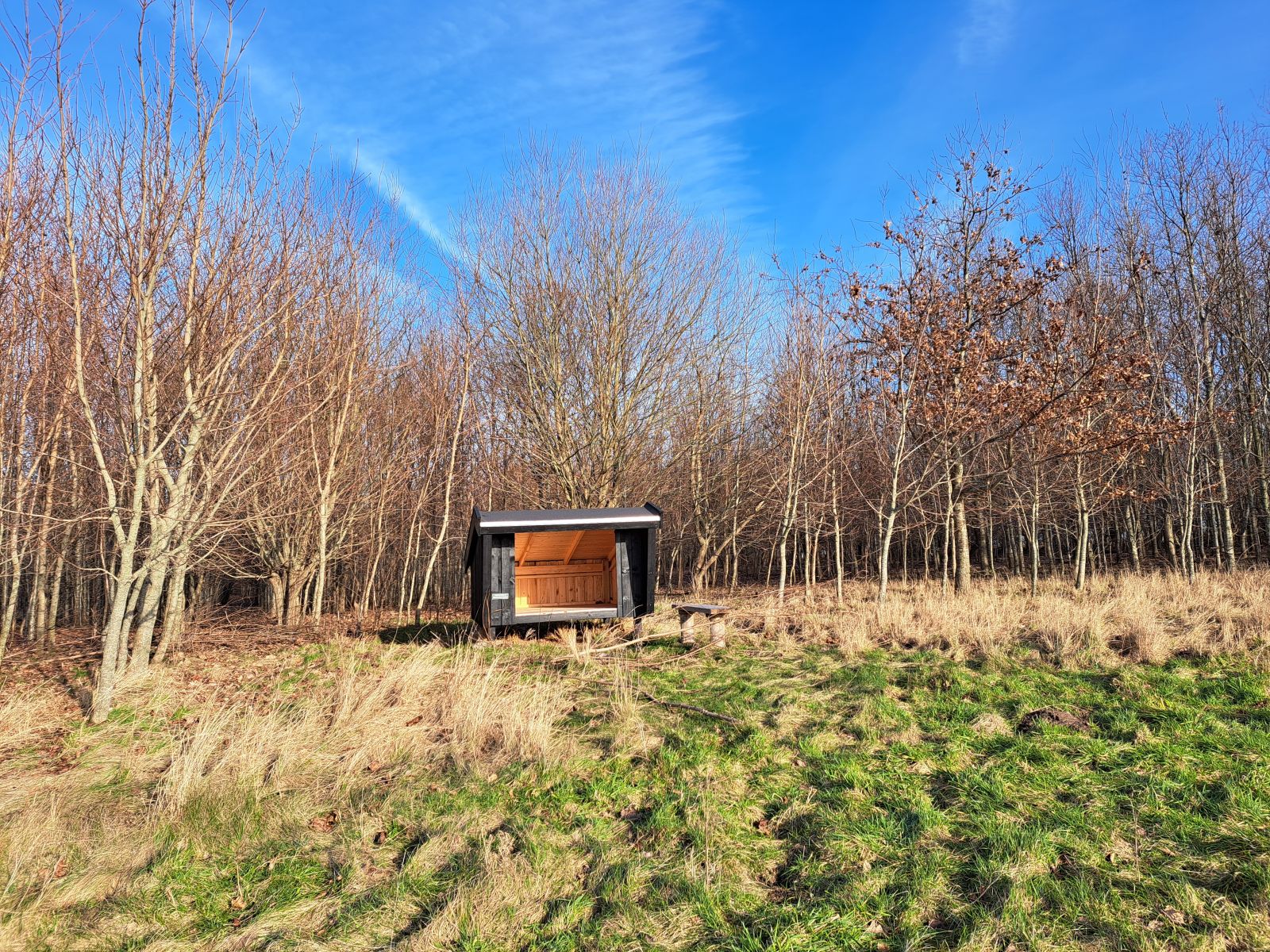 Agerhønen i skovbrynet