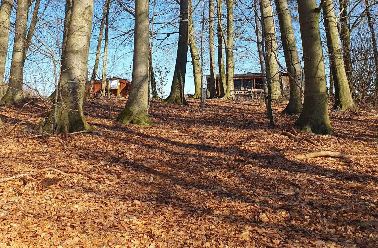 Shelterplads med tre sheltere - FDF Tommerup St. – miniature 2