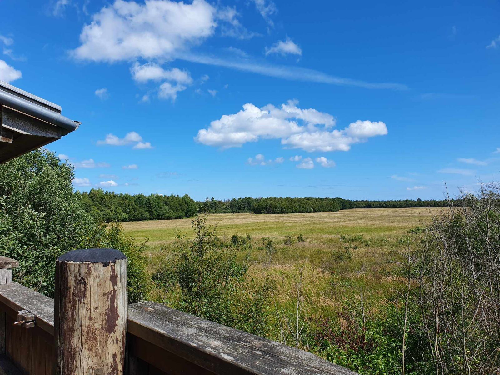 Udsigten fra tårnet 