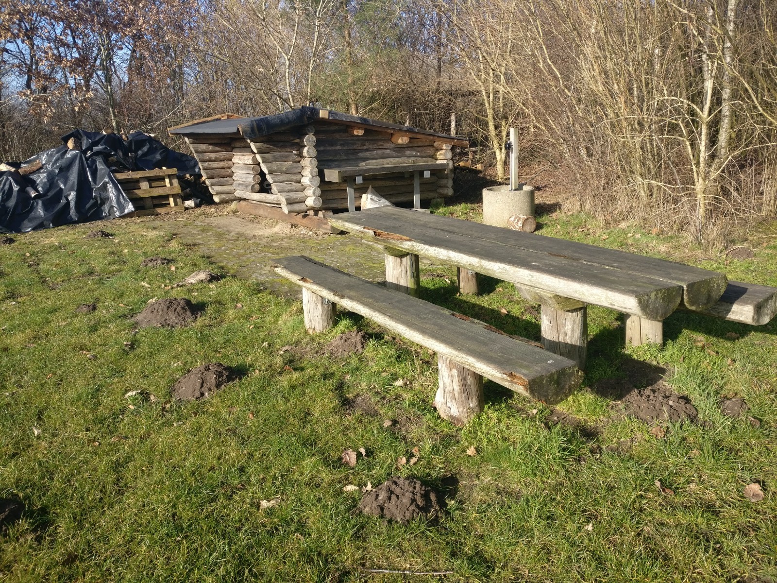 Lejrplads med 3 shelters og bålhus ved Skringstrup – miniature 1