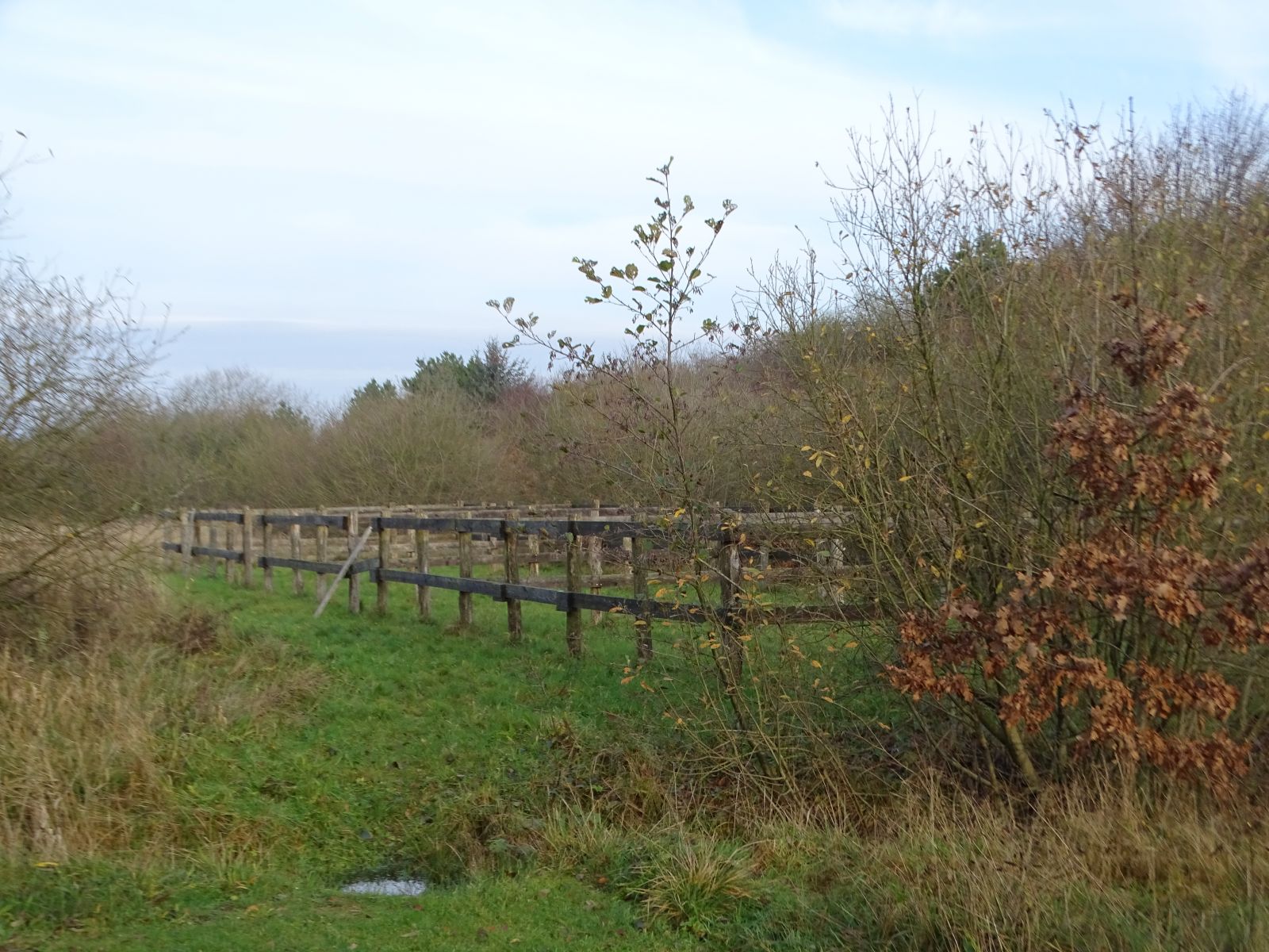 Trædestenen Nebel Bjerg, shelter 1 – miniature 2