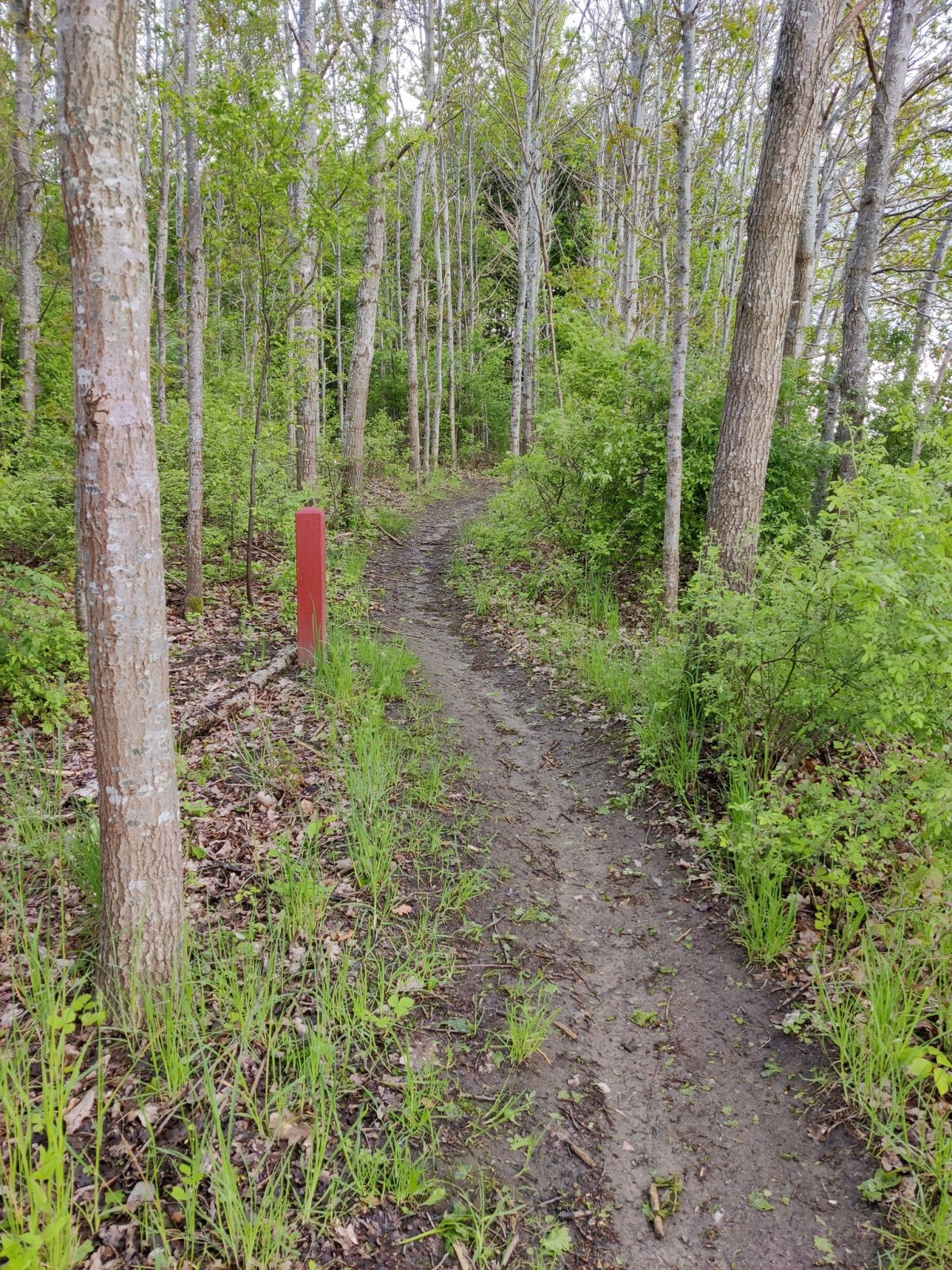 Blå Rute
