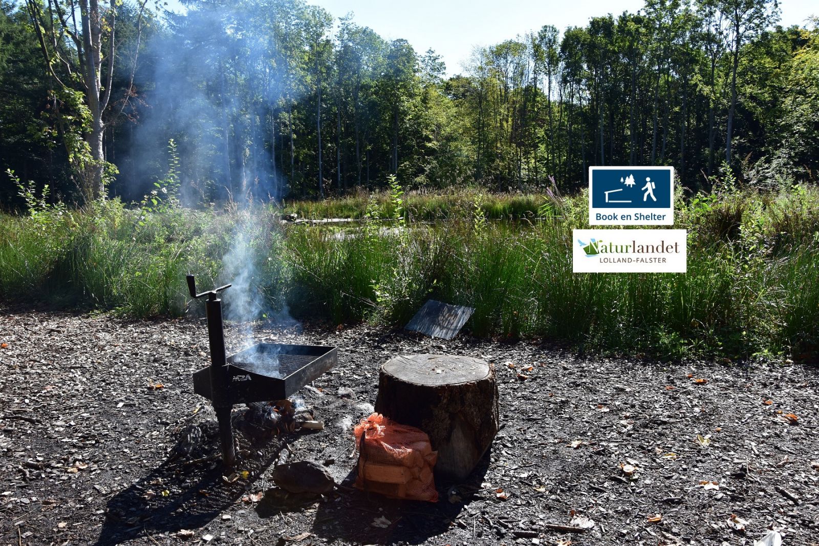 Mysseskovens shelterplads – miniature 4
