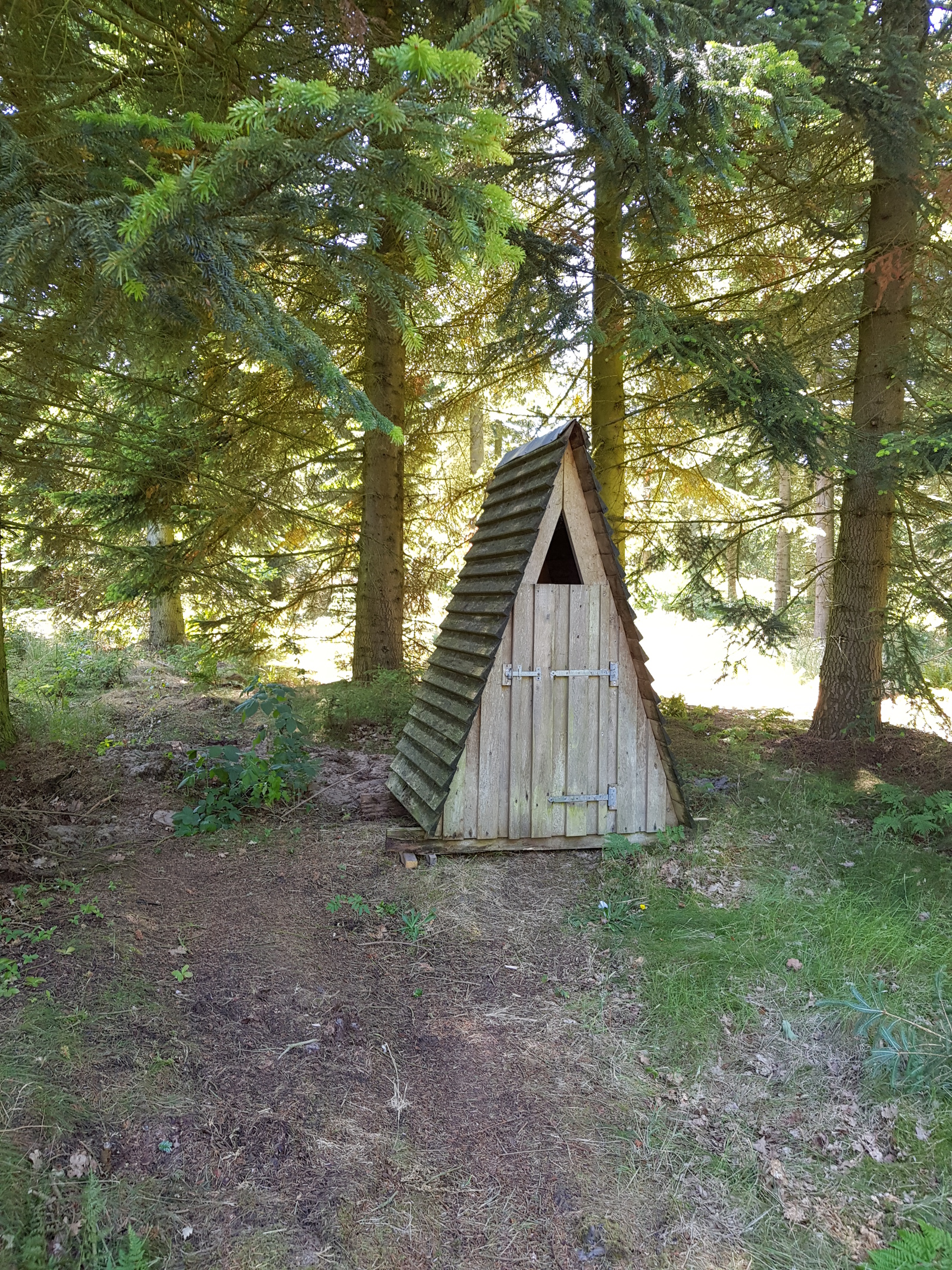 Baun Plantage ved shelter, shelter in Denmark