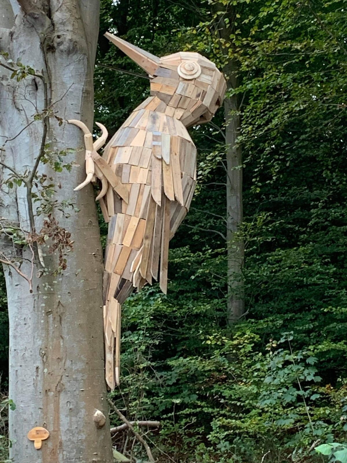 Billedet viser en spætte bygget af træ