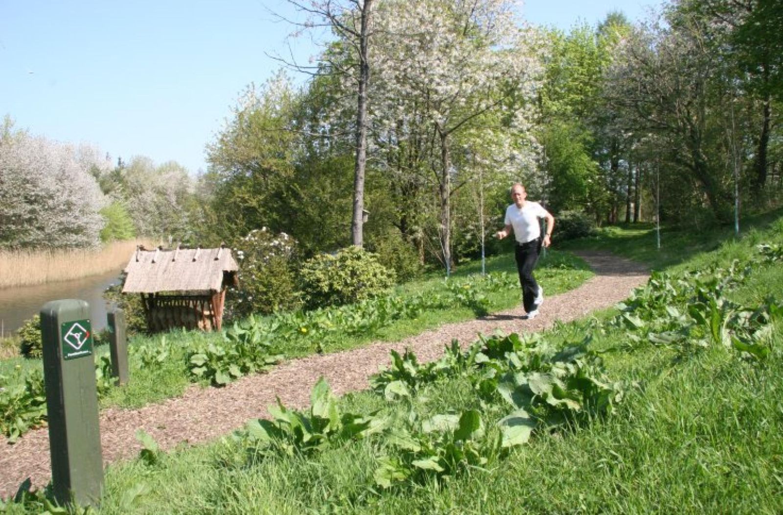 Forskerrute