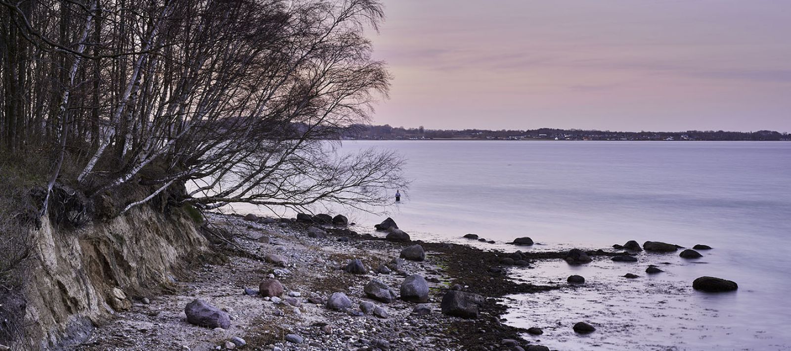 Geospot: Thurø Østerskov og Thurø Rev - udinaturen.dk