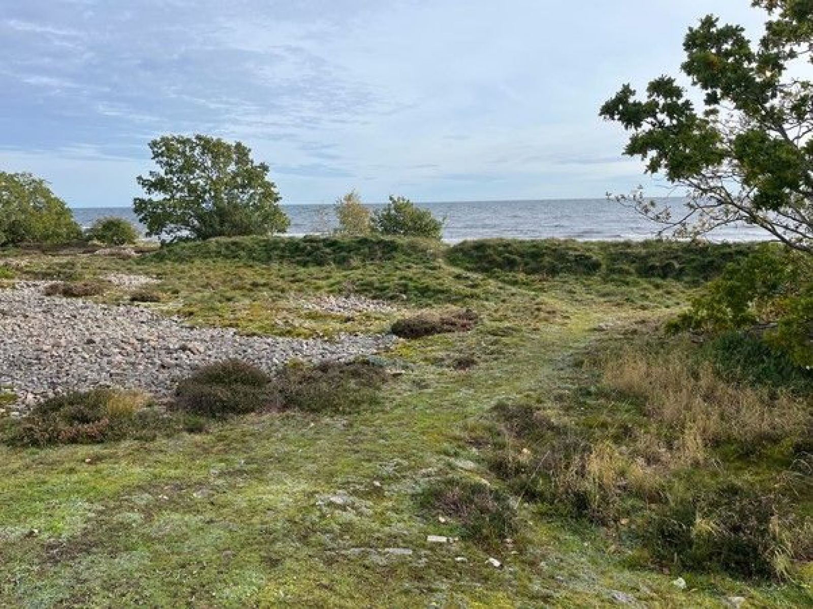 Skanse